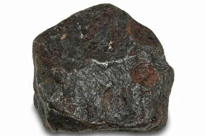 Canyon Diablo Iron Meteorite ( g) - Arizona #319595